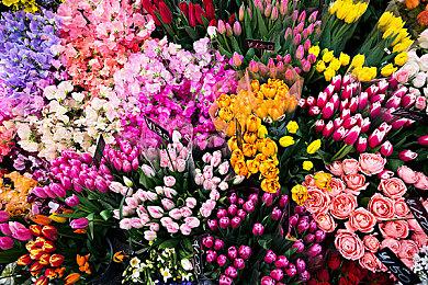 《机动战士高达EXVS2》新机体11月14日上线 铁骑高达参战